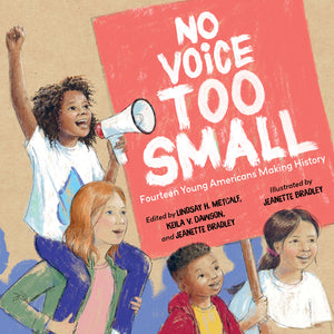 No Voice Too Small book cover