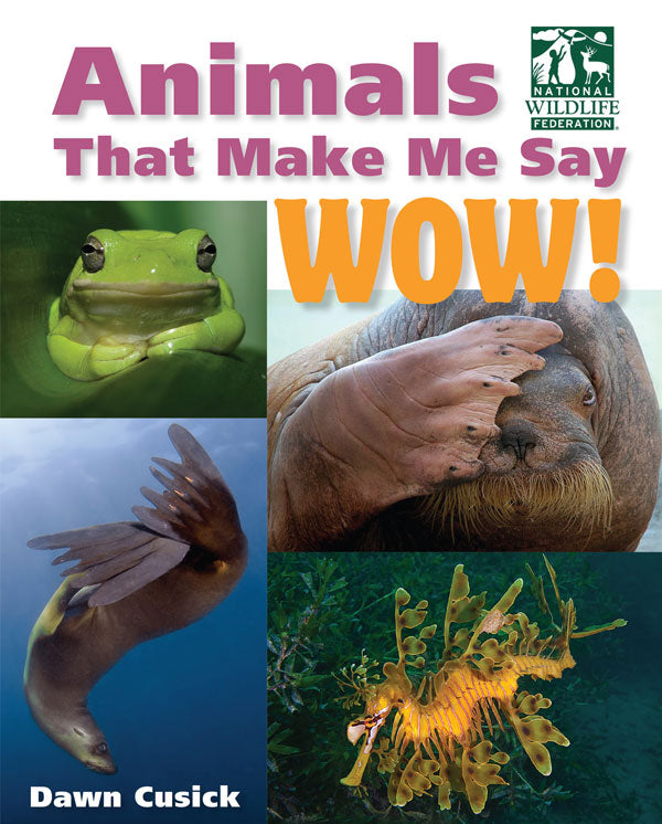 Animals That Make Me Say WOW!