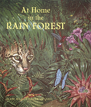 At Home in the Rain Forest book cover