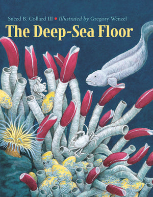 The Deep-Sea Floor book cover image
