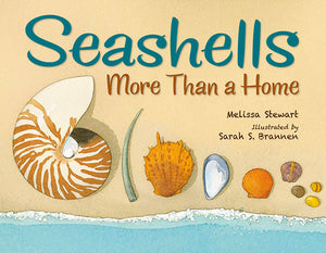 Seashells: More Than A Home book cover